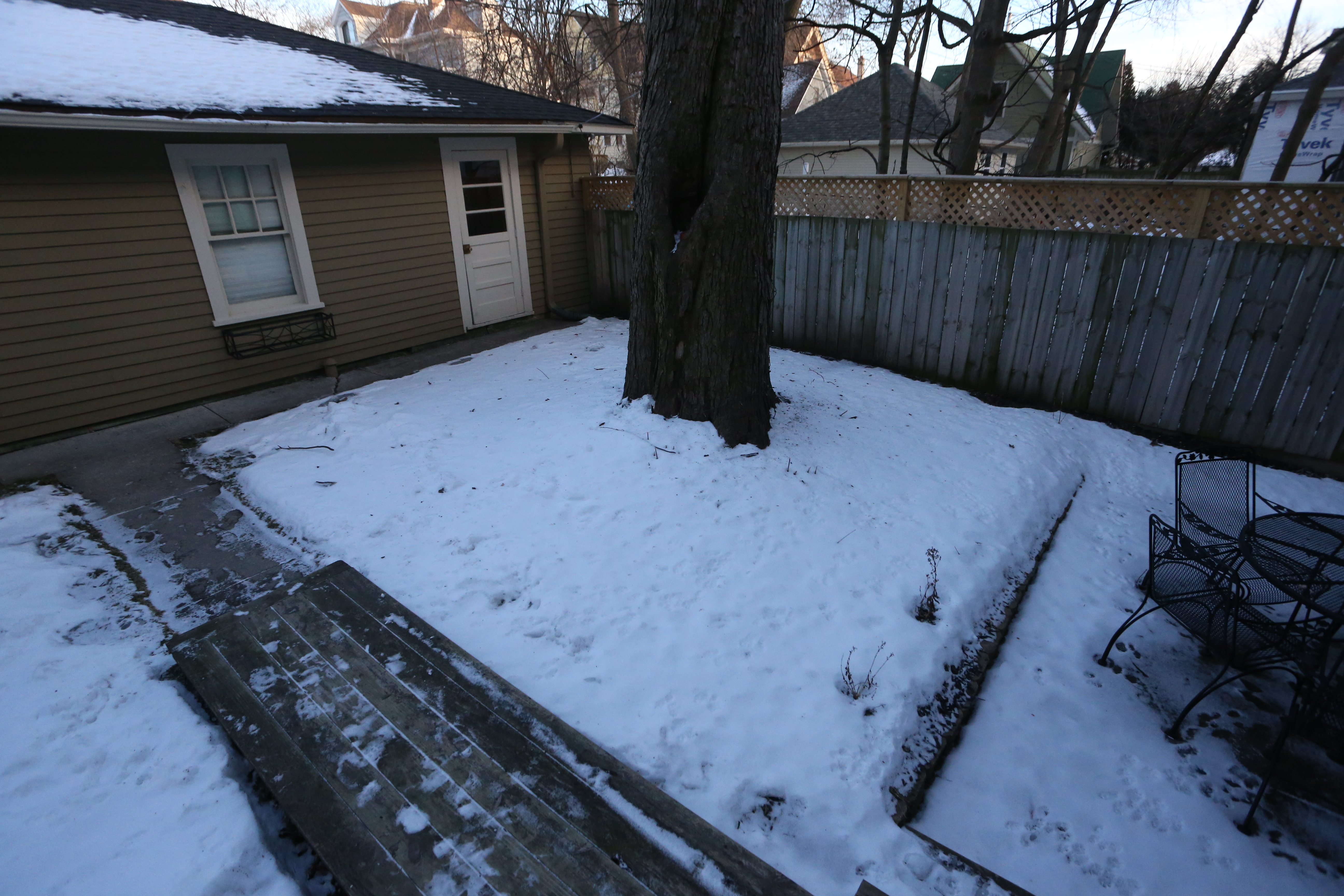 backyard from patio room off kitchen facing southeast