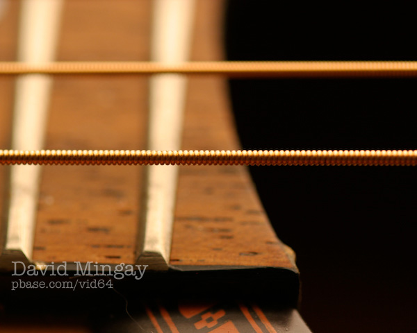 Sep 4: Twang
