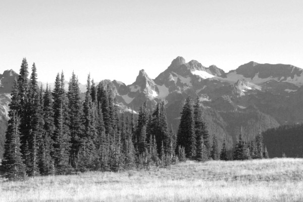 Close to perfect bw.jpg