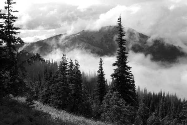 Disappearing Hills bw.jpg