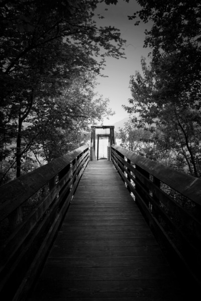 Into the light bw.jpg