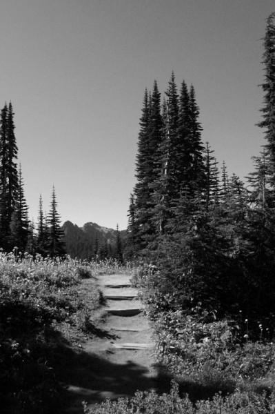 Mantained trail bw.jpg