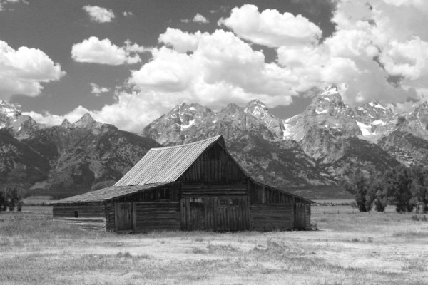 Morman row Grand Teton WY bw.jpg