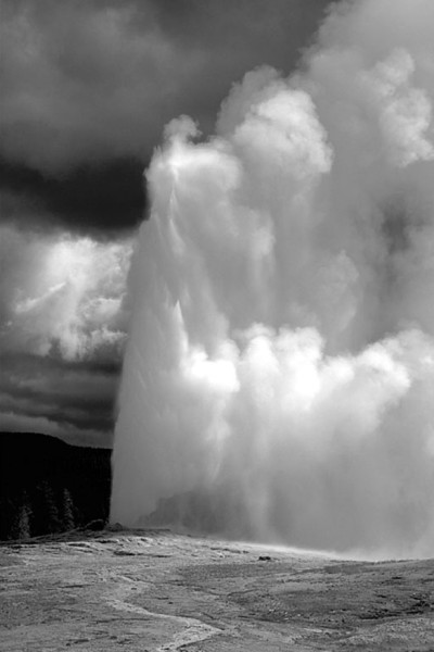 There she blows bw.jpg