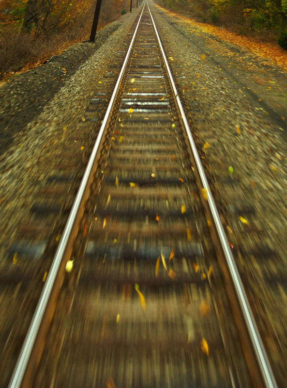 2nd: Choo-choo (Peter Drubetskoy)