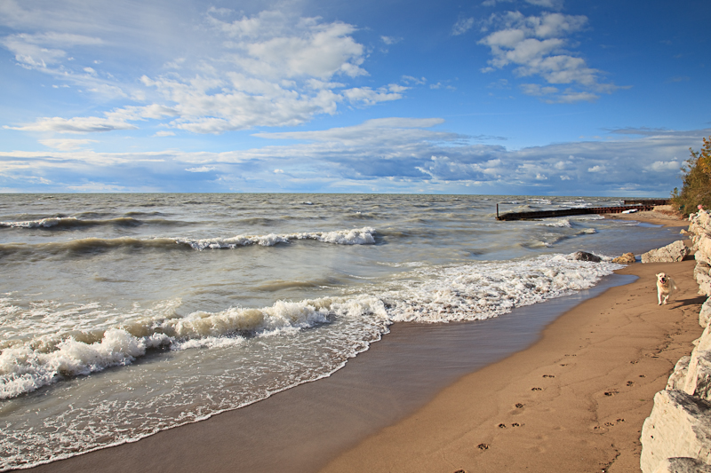 The beach