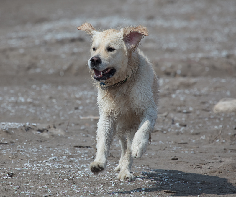 20100321-_MG_4190.jpg