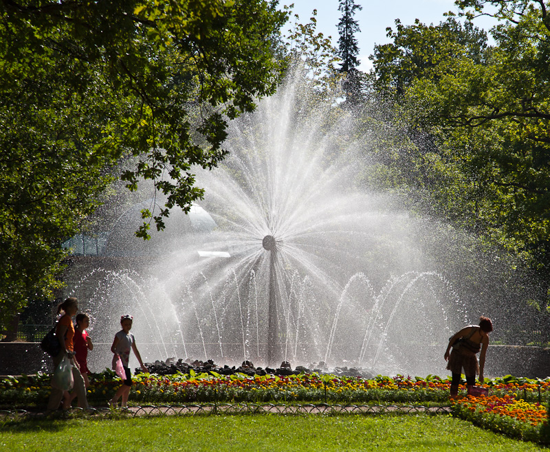 Petrodvets, Peter the Greats Summer Palace