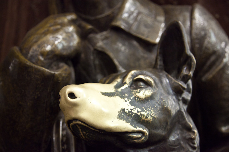The underground - rubbing the dogs nose is supposed to be lucky