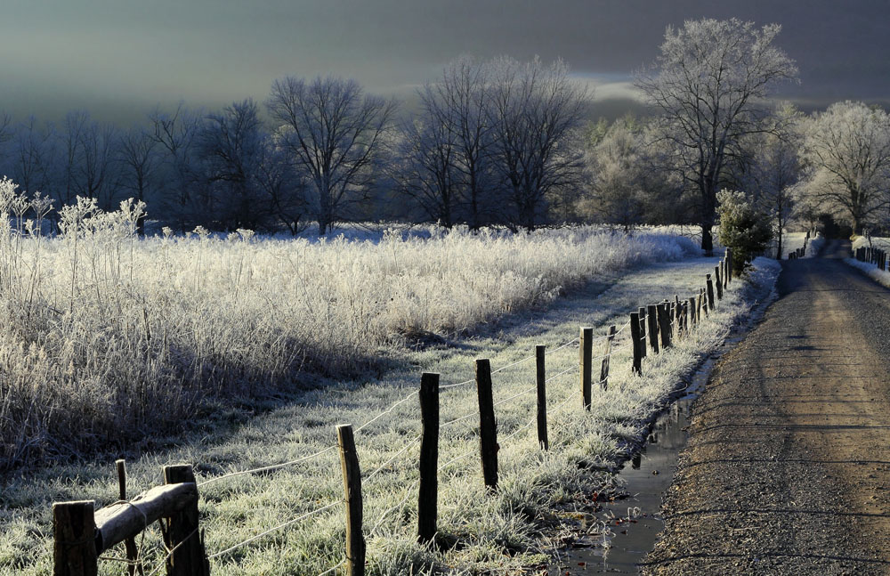 Another Frosty Cades Cove image.