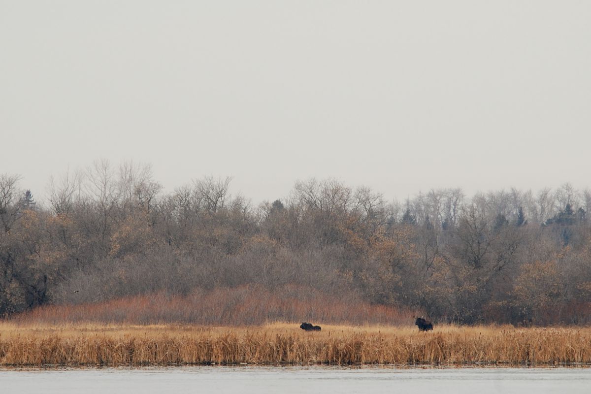 DSC_0269.jpg