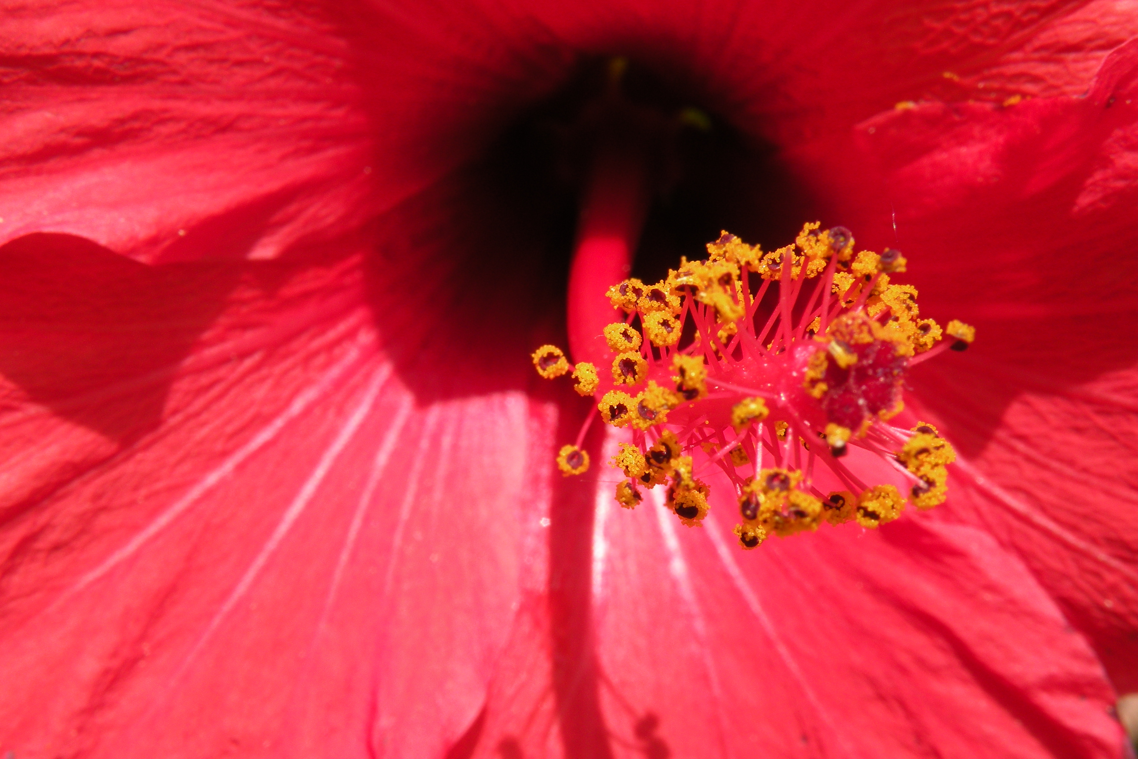 DSCN0547.JPG