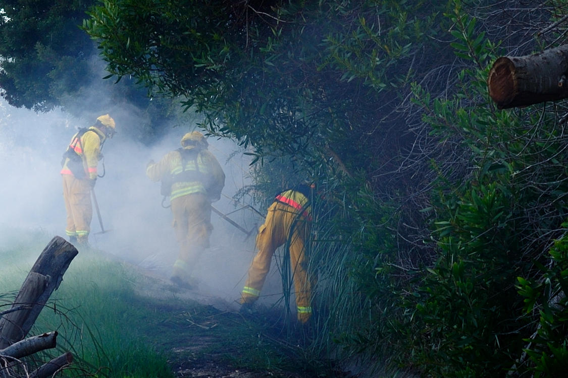 SBFD on the job