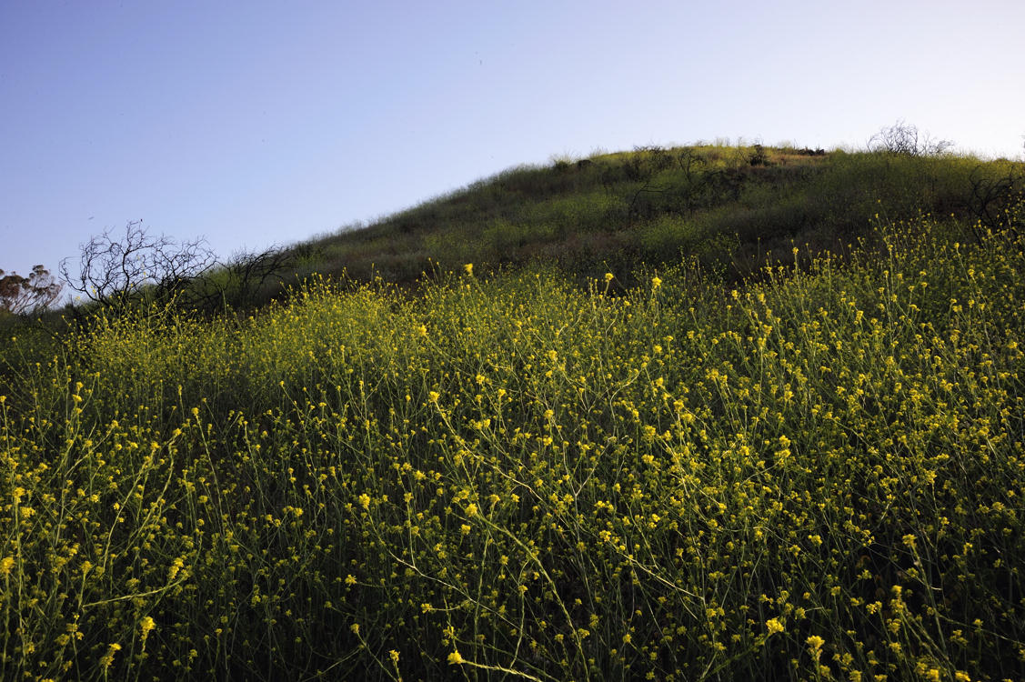 Leaving Lake Hodges