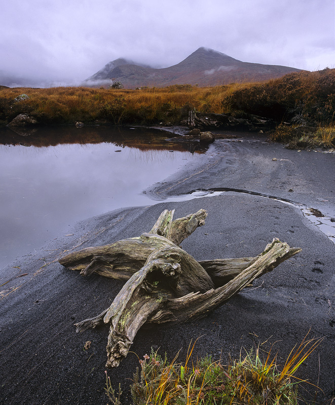 Blackmount Snag