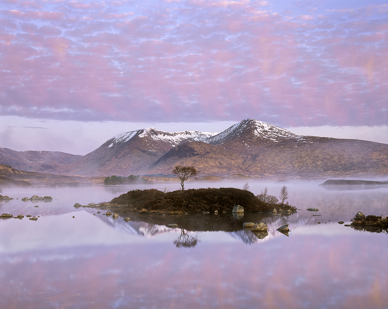 Candy Floss Glencoe