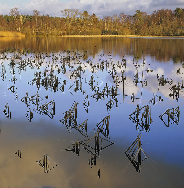 Autumn Rush Hour