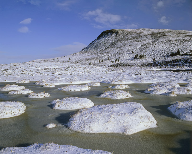 Ice Tussocks