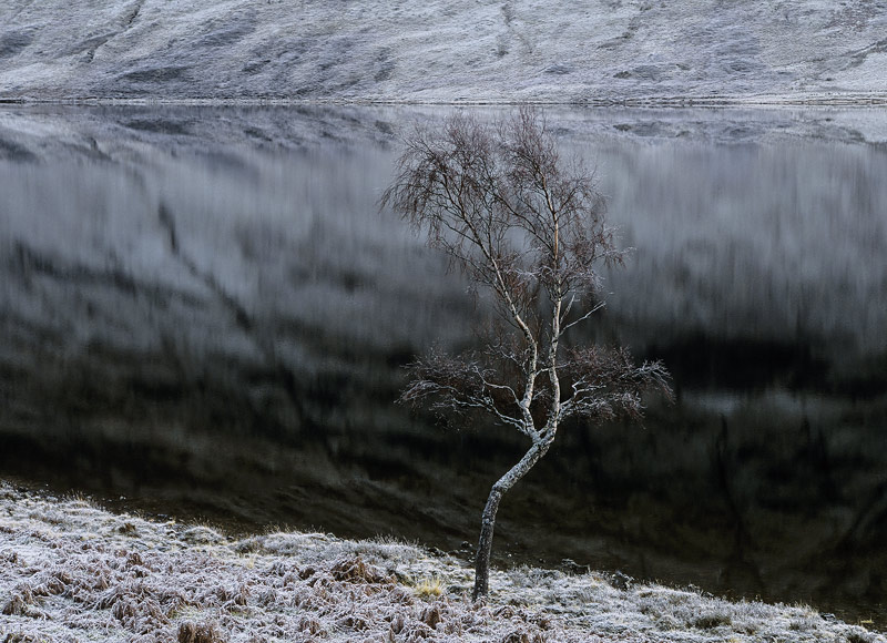 Solitude Standing