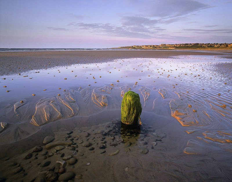 Low tide Lossiemouth.