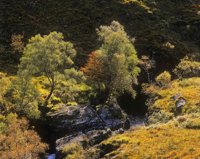 Sparkling Gorge Glencoe