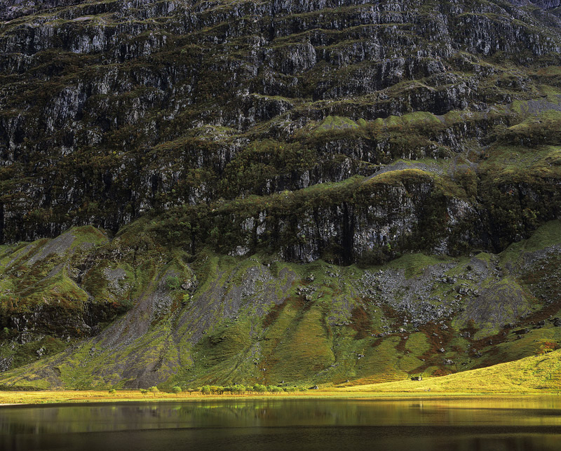 Being Dwarfed Glencoe