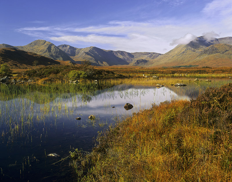 Rannoch Technicolor