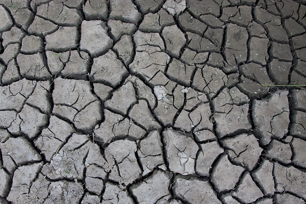 65_2680 Dry Soil, Damp Soil