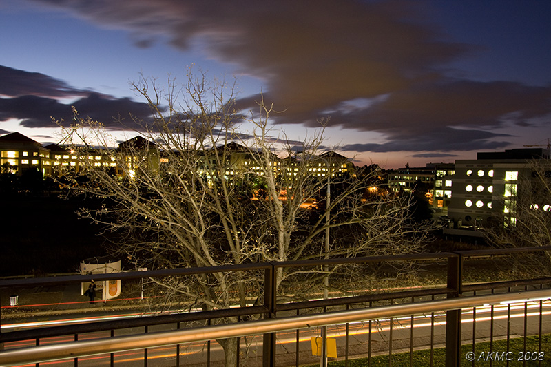 1519 Lit Tree At Sunset