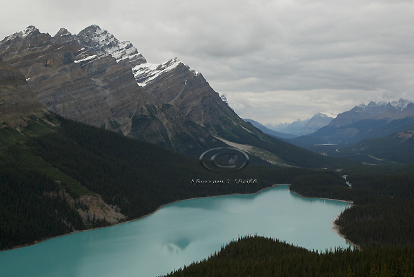 0C9K4247 Peyto Lake - Sept 08.jpg