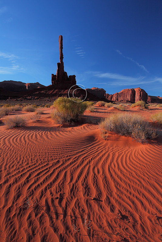 _MG_7260Sand Dunes.jpg