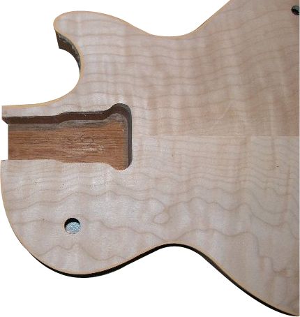 Gibson Neck fit2.jpg