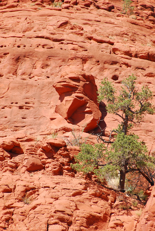 Eagle Head Rock Protecting Chapel