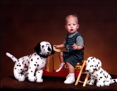 These dogs are not real