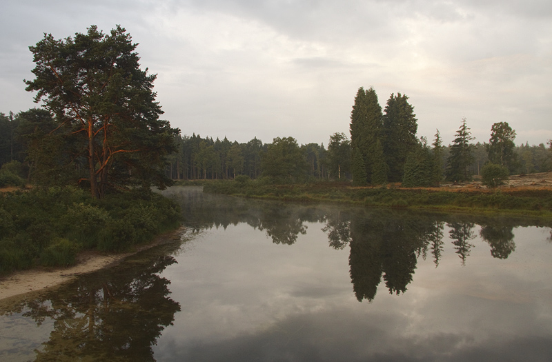 Haarplas bij Hardenberg