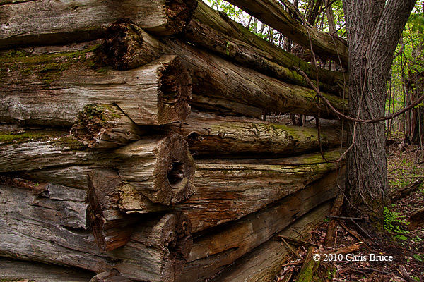 Log Outbuilding Ruins II