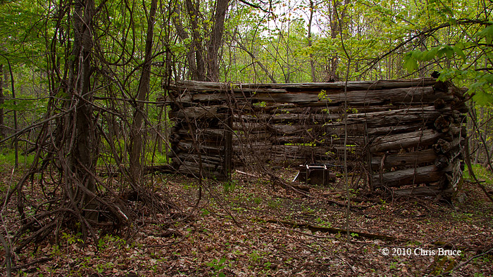 Log Outbuilding Ruins II