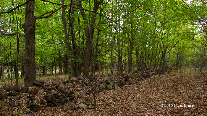 Stone Wall