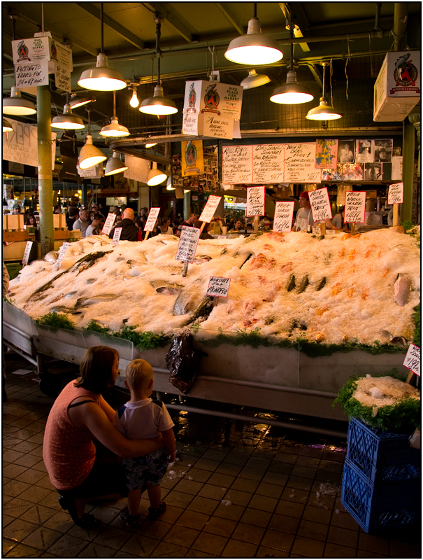 Fish on Ice