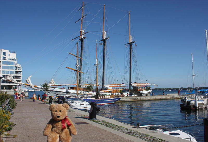 Waterfront by boats