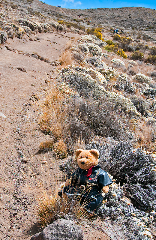 23.Continuing our climb