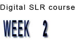 week2.jpg