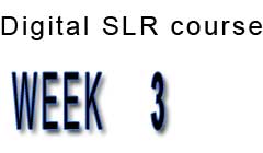week3.jpg