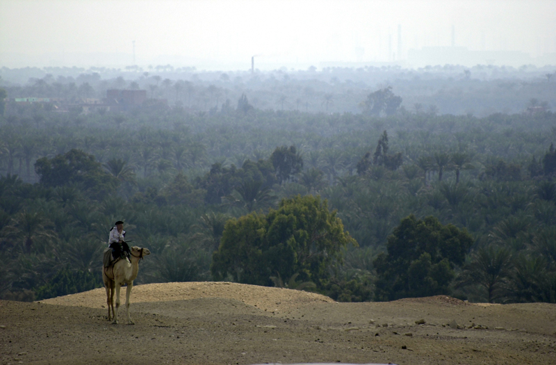 Garde  Saqqara