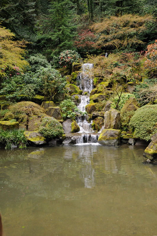 DSC_5971.JPG