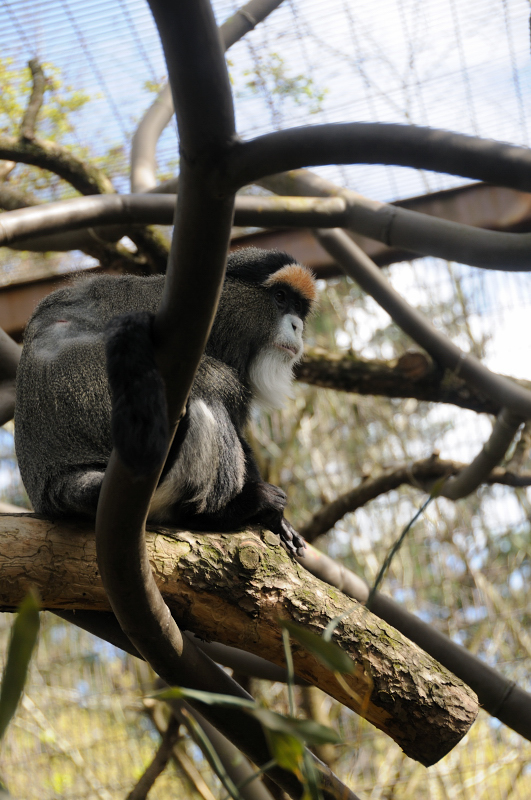 DSC_6553.JPG