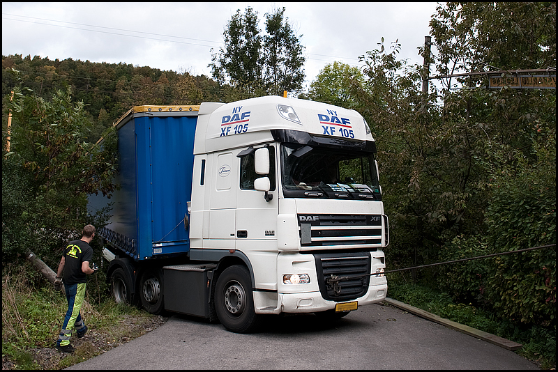 Daf.jpg