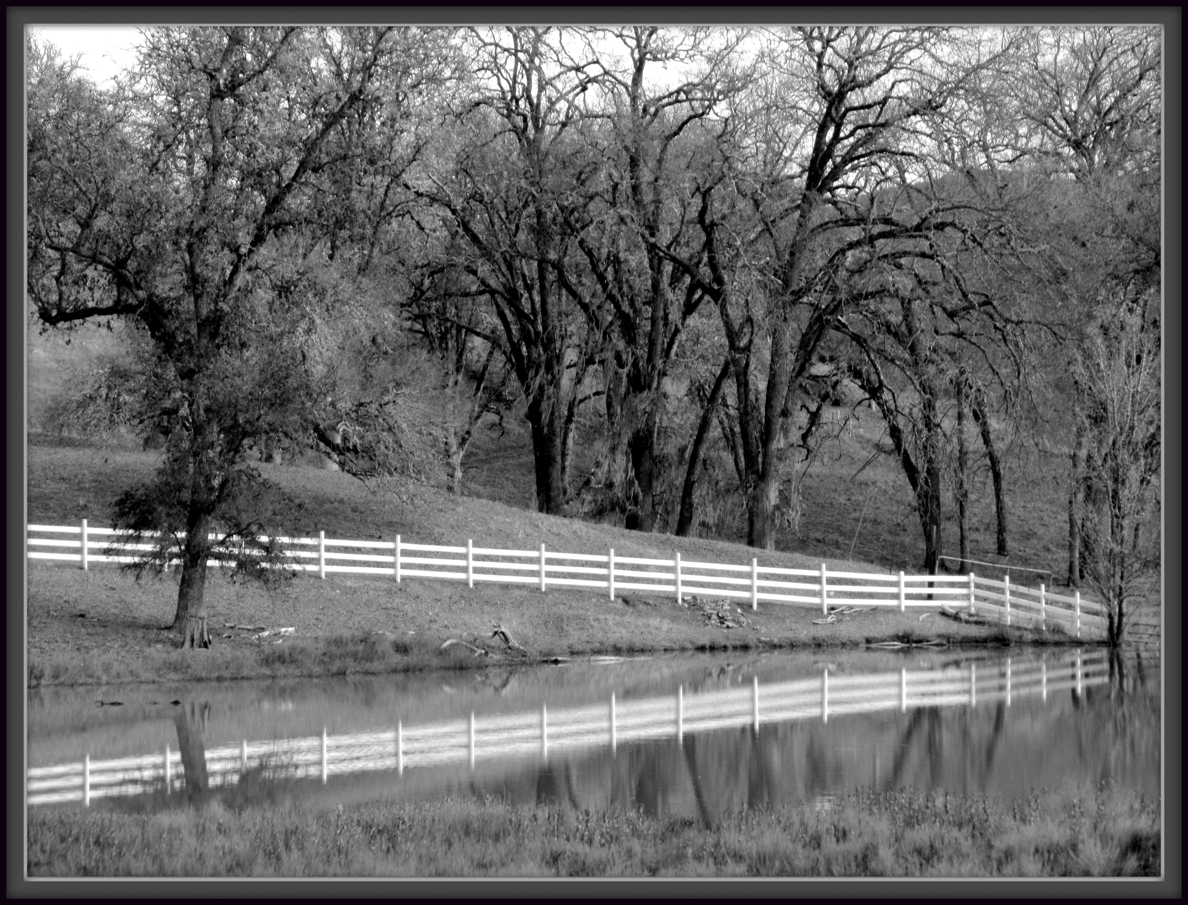 Reflected Boundary.jpg