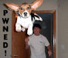 o2/03/69403/1/97025985.RudTnJxT.dogthrowpwnedavatarsize.jpg