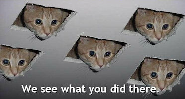 ceiling cat-plural - sig size.jpg